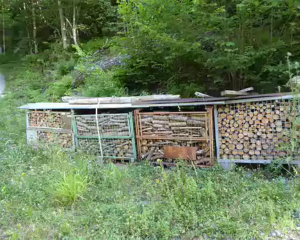 116 tas de bois rangé à la Suisse