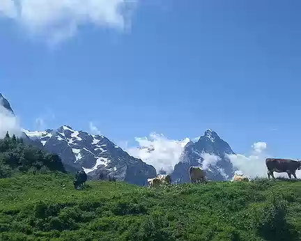 20240723_124614-01 Au col de Grosse Scheidegg