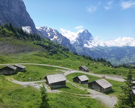 20240723_125117-01 Grosse Scheidegg, l'Eiger en arrière plan.