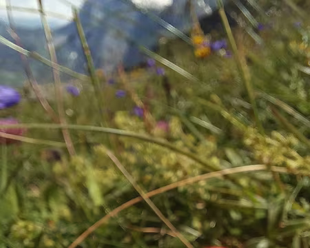 20240726_122358-01-01