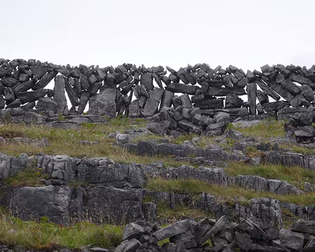 BW_245 Des murets en dentelle de pierre.
