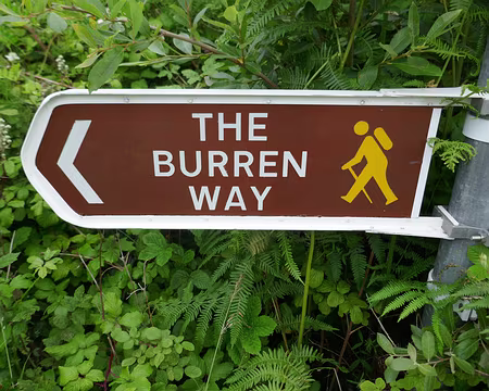 BW_297 C’est parti !