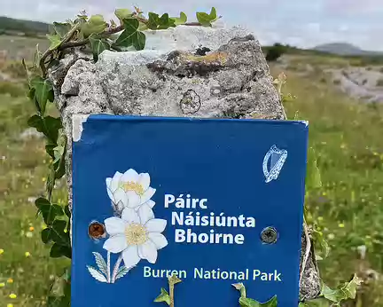 BW_360 Nous voici dans le parc National du Burren.