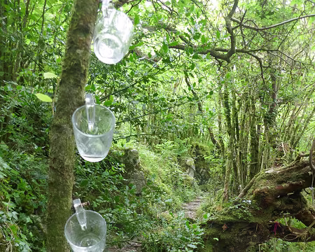 BW_385 Une source sacrée et aux vertus curatives… À votre santé !