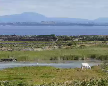 BW_480 Inish Mór, Lough Chorrùch. Au loin, les montagnes du Connemara.