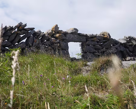 BW_485 Une bearna, une porte à moutons dans le mur en pierre.