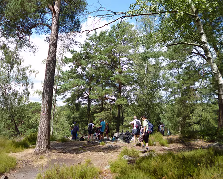 P1190514 Pique-nique aux rochers d'Angennes