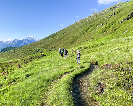 20240714-08h44m23s-IMG_1377-V3 notre premier bisse (canal d'irrigation)