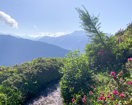 20240714-08h59m10s-IMG_1380-V3 ...alimentées par la fonte des glaciers ou des neiges, en direction des zones de cultures et des prairies.