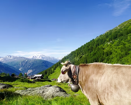 20240714-09h38m24s-DSC01777-V3