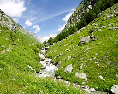 20240714-12h22m44s-DSC01782-V3