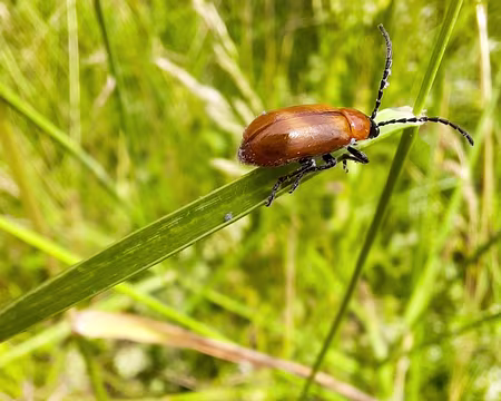 20240714-14h51m02s-20240714_145102-V3