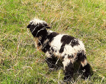 20240714-15h05m53s-20240714_150552(0)-V3