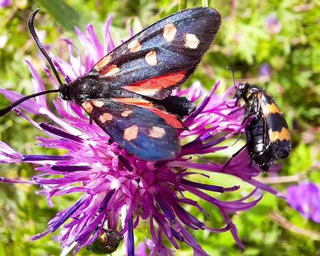 20240715-10h48m03s-20240715_104803-V3