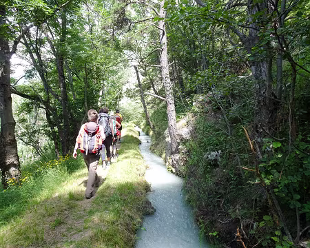 20240715-11h48m39s-DSC01787-V3