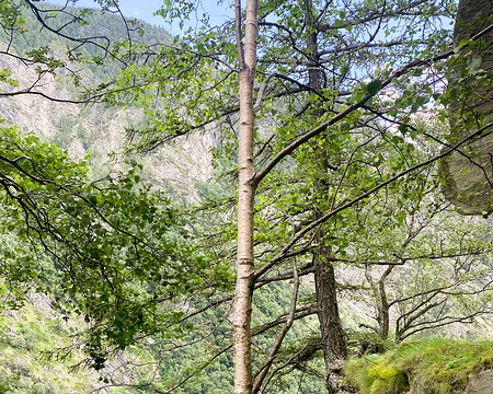 20240715-14h22m37s-IMG_1438-V3