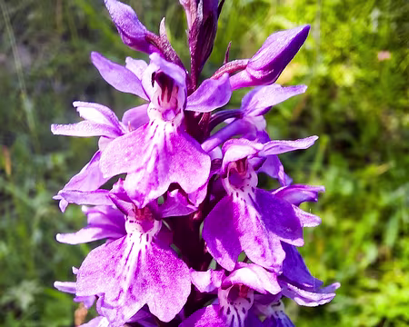 20240716-15h48m50s-20240716_154850-V3