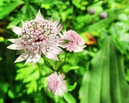 20240716-16h37m54s-20240716_163754-V3