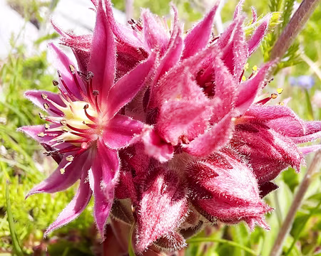 20240717-14h00m23s-20240717_140023-V3