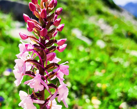 20240717-15h27m39s-20240717_152739-V3