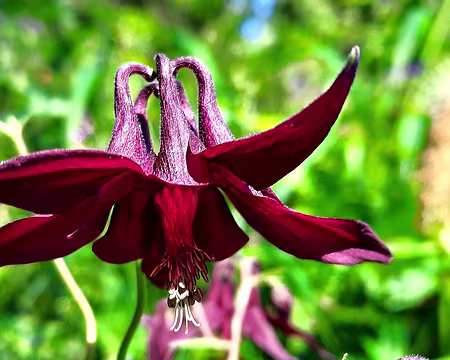 20240718-10h27m43s-20240718_102742-V3