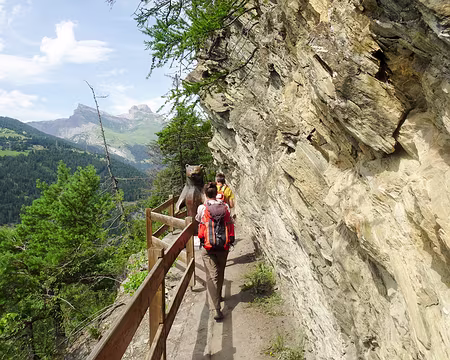 20240719-15h52m09s-DSC01859-V3 rencontre avec un ours