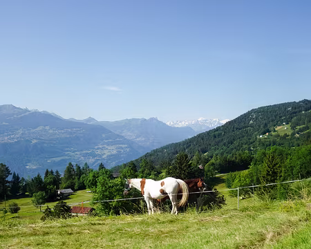 20240720-09h48m44s-DSC01868-V3