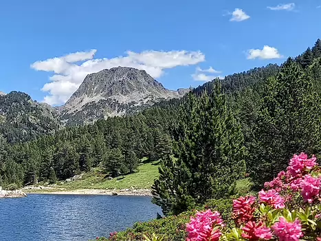 2024-07 Tour des Perics