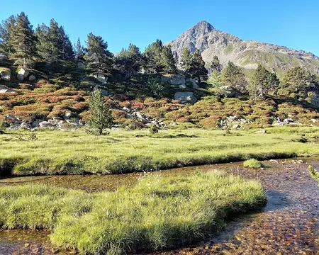 20240711_084052-01-01 Puig de Courtal Subra