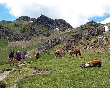 20240711_135028-01 sieste équine