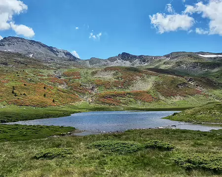 20240711_135601-01 Estany del Raco dans son écrin de de rhododendrons.