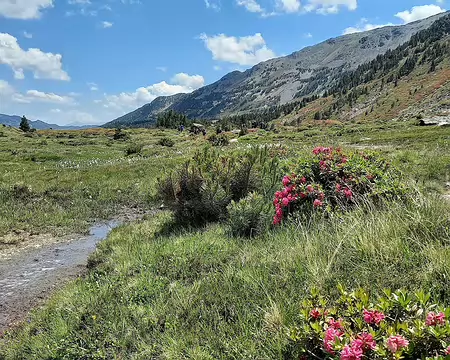 20240711_142235-01 La très belle et large vallée de la Grava