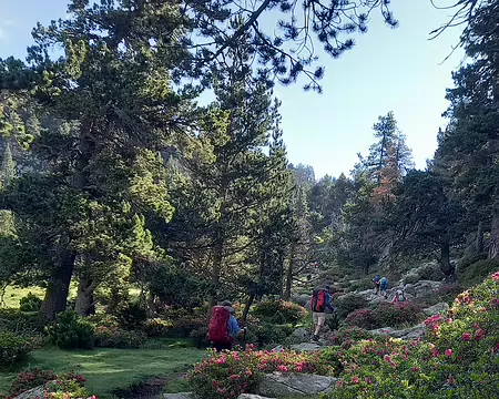 20240713_091115 Dans la lumière matinale