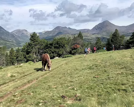 20240713_101842-01 Dans la steppe cerdane.