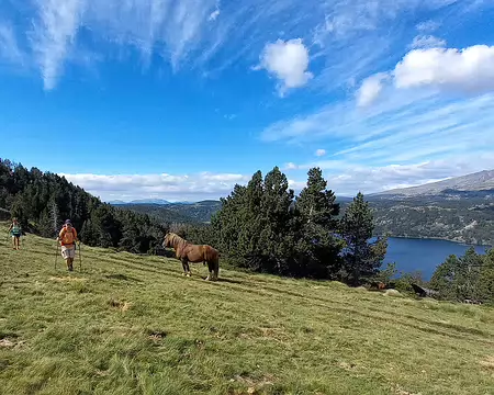 20240713_101913-01 Dans la steppe cerdane.