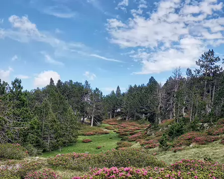 20240713_170153-01 Qui est le jardinier?