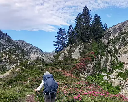 20240715_084101-01 Vallon du Faury