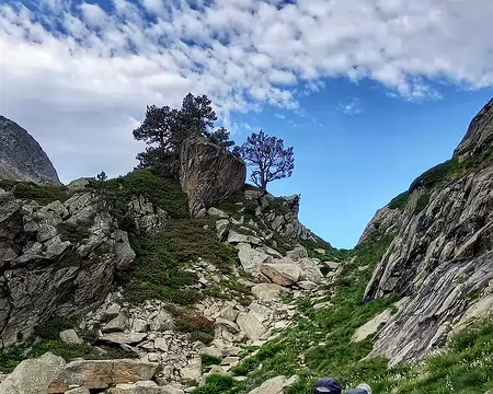 20240715_084703-01 Vallon du Faury