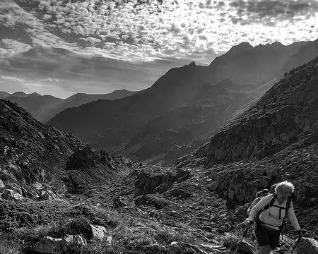 20240715_092233-01 Contrejour à rebrousse-poil