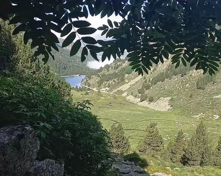 20240716_093040-01 Avant le brouillard