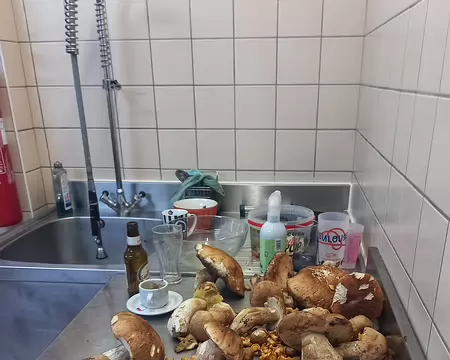 20240716_180206-01 Une belle récolte