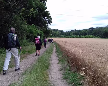 001 Départ de Trilport (Seine-et-Marne) pour une randonnée de 20 km jusqu’à Meaux