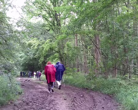 005 Dans la forêt domaniale de Montceaux
