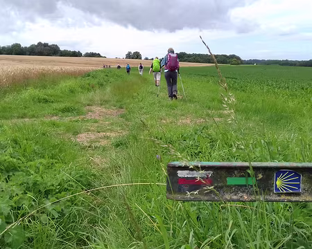 018 Sur le chemin de Saint-Jacques