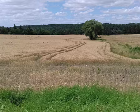 025 Paysage rural de Seine-et-Marne
