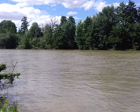 035 La Marne près de Meaux