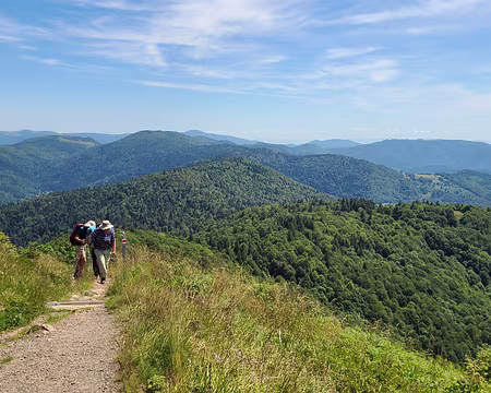 20240709_120008 Montée vers le Ballon d'Alsace