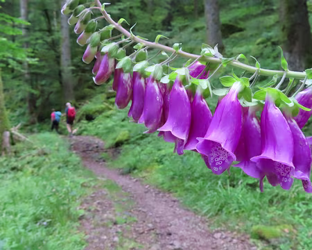 20240710_160800 Digitale