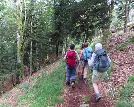 20240711_092800 On monte vers le Rouge Gazon et ses pistes de ski