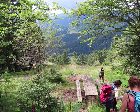 20240711_102700 Une table bien placée, dommage c'est pas l'heure de manger